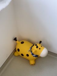 -上海美华妇儿医院