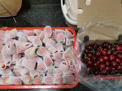 -双福水果批发市场