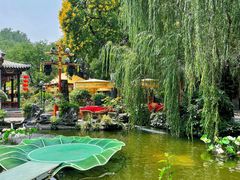 -白家大院·王府宫廷菜(苏州街店)