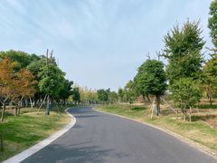 -贡湖湾湿地公园
