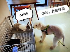 -小意思咖啡店(草桥店)