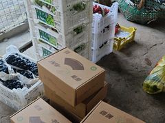 -马陆小张葡萄园农家乐