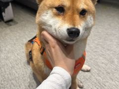 -mYSTEPS健身运动馆(古北店)