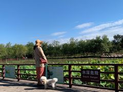 -绿堤公园