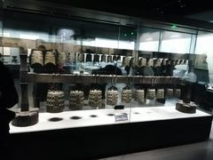 -荆州博物馆