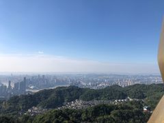 -大金鹰园