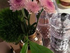 -佐度王子扒房(爱建卓展店)