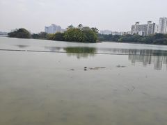 -南宁南湖公园