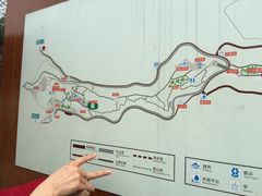 -金鸡山公园