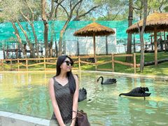 -南戴河国际娱乐中心