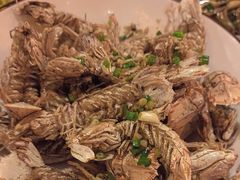 -小田油焖小龙虾(双井店)