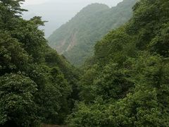 -广州市石门国家森林公园