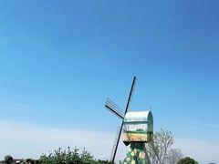 -荷兰花海