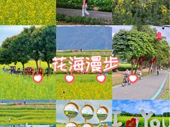 -光明小镇欢乐田园