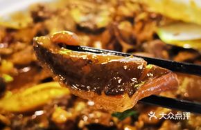 Secret Spicy Soft-Shelled Turtle Hot Pot