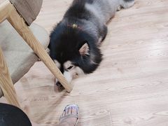 -白兔子密室(长寿路店)