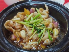 -蛇口康乐快餐鱼仔档(翠苑小区店)