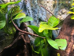 -上海海洋水族馆