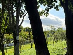 -紫马岭公园