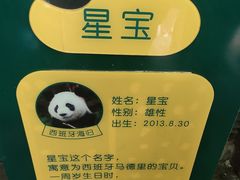 -黔灵山公园