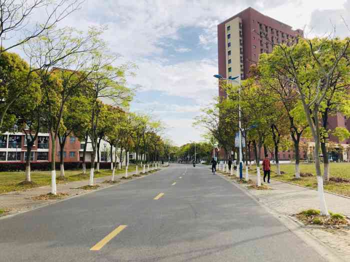 上海海事大学(临港校区)-"就业情况上海海事大学所开设专业以航运技.