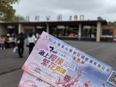 -顾村公园