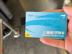 -龙阳路磁悬浮列车总站-停车场