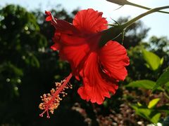 -厦门国家会计学院