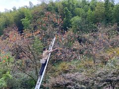 -宁波余姚老柿林山居度假村