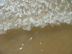 -日照海滨国家森林公园