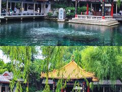 -趵突泉景区