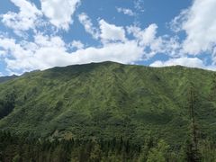 -黄龙山原始森林景区