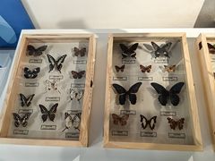 -浙江自然博物院(杭州馆)