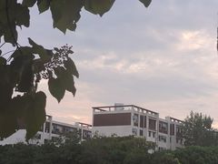 -两河城市森林公园