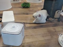 -袖虎·猫馆(体育西路店)