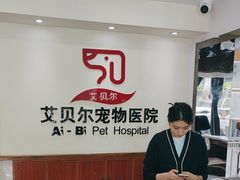 -艾贝尔宠物医院·24H转诊中心·肿瘤猫专科(江宁双龙店)