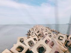 -东疆建设开发纪念公园