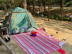 -白水寺森林公园