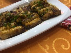 -焯明脆肉鲩世家(金沙洲店)