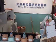 -欧奕国际动物医院