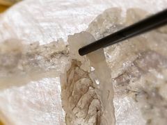 -官塘陈记鱼生·潮汕砂锅粥·牛肉火锅(潮枫路总店)