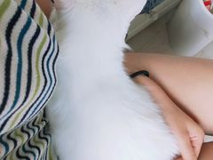 -畜牧兽医站(共江路店)