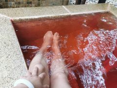 -春晖园度假酒店温泉