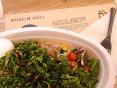 -油梨树AVOCADO TREE(嘉里中心店)