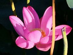 -北海公园-停车场