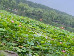 -承德避暑山庄景区