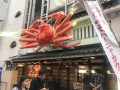 -蟹道乐(道顿堀本店)