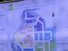 -坛宗剁椒鱼头(河西王府井店)