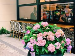 -Peet's Coffee皮爷咖啡(大学路店)