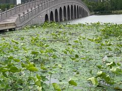 -浙江大学(海宁国际校区)